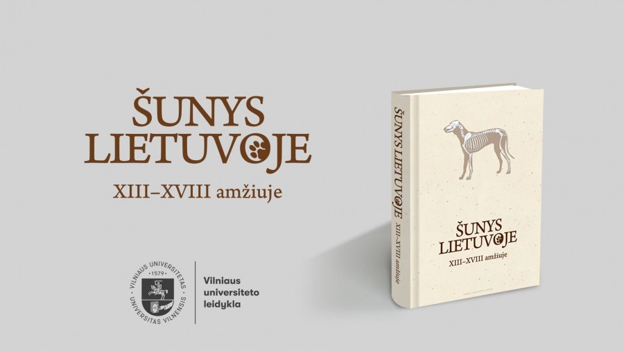 Sunys Lietuvoje