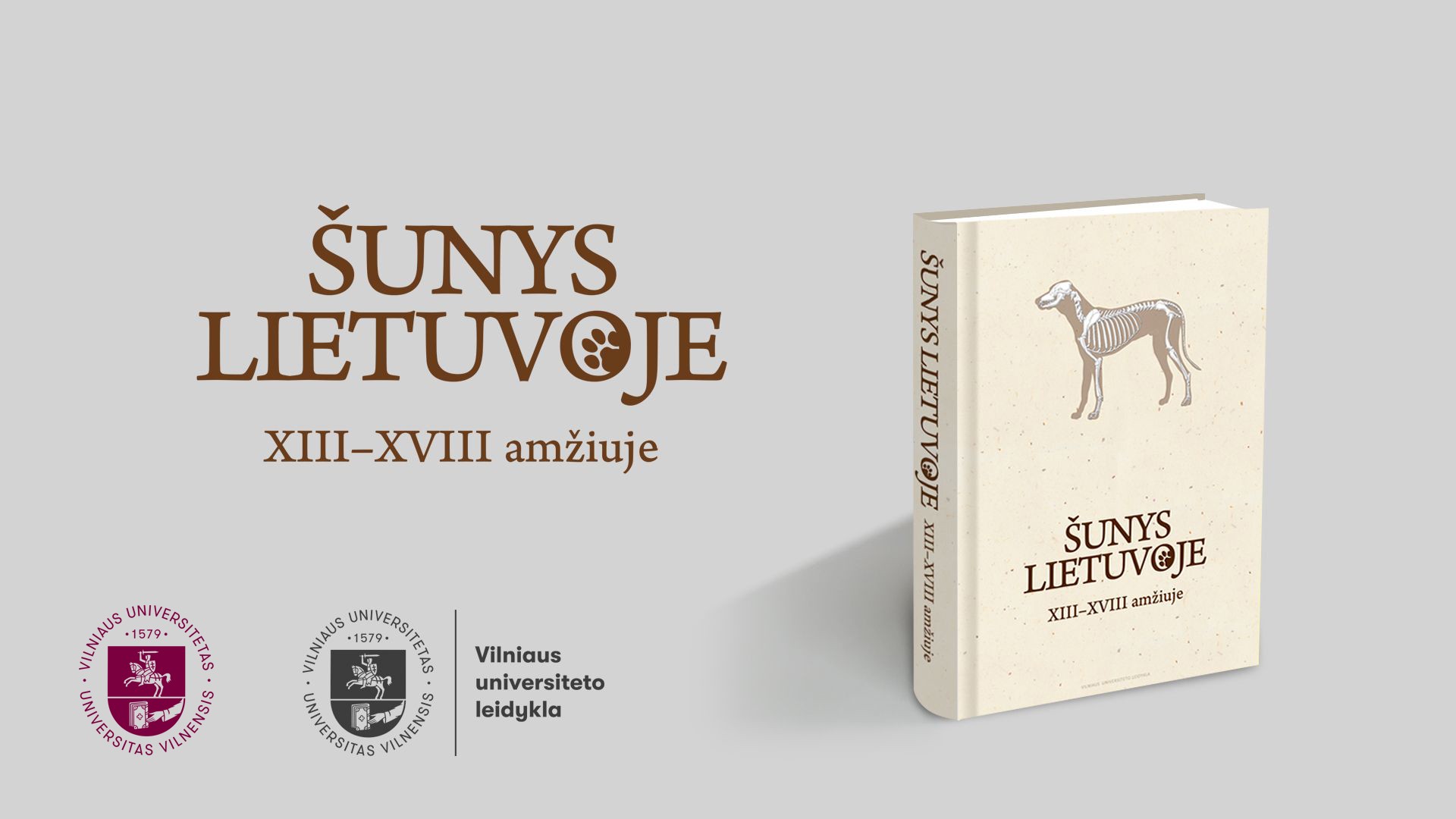 sunys lietuvoje