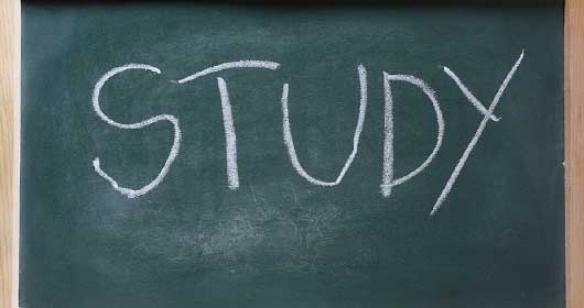Study