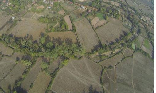 dronai foto