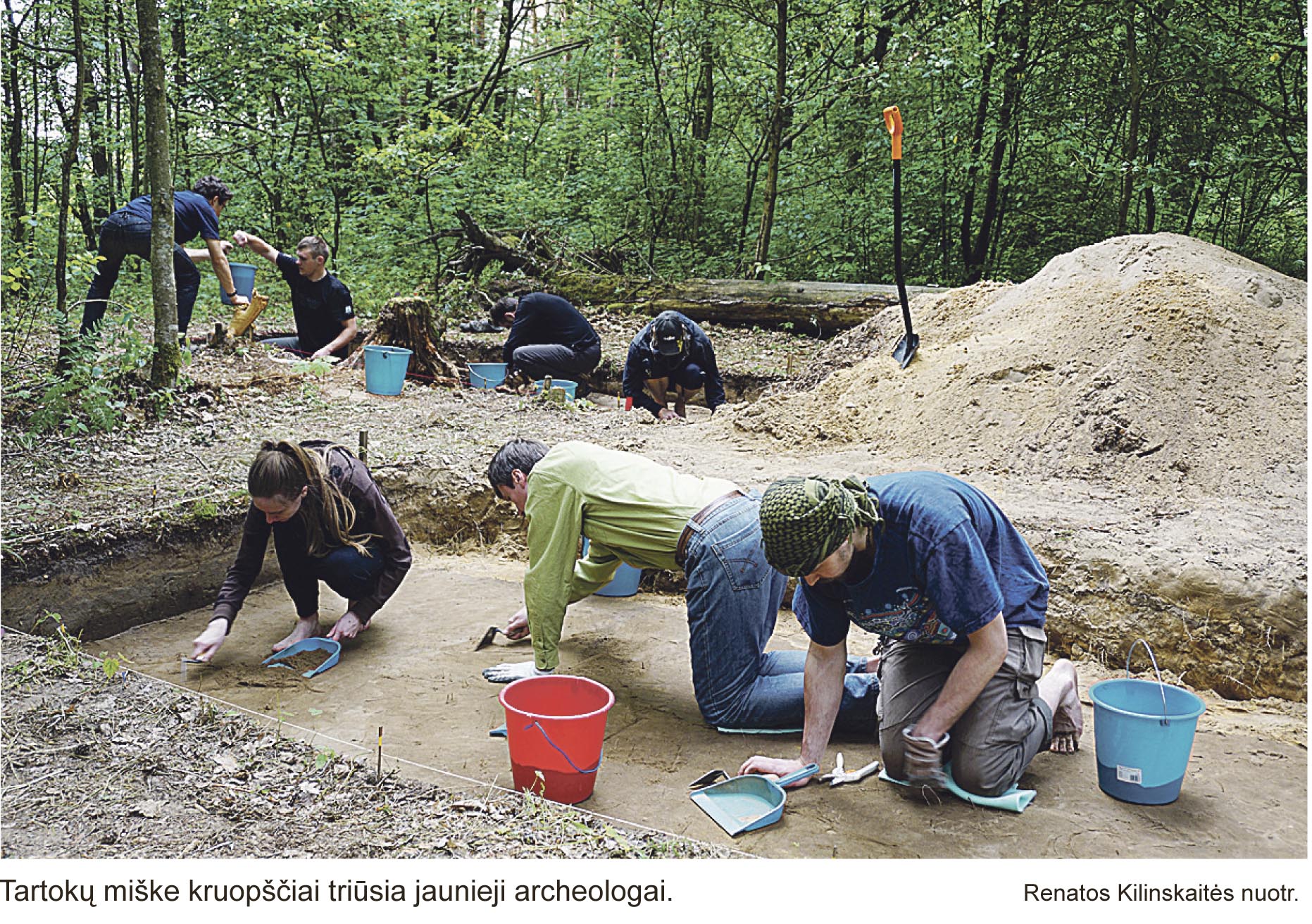 pabartoniuose archeologai is naujo atranda akmens amzi 1 20150702 1044333149